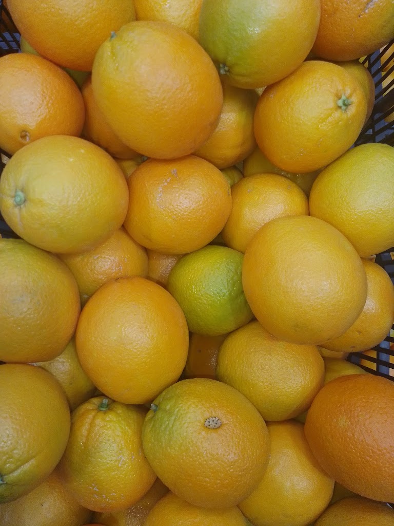 Comercial De Naranjas Del Sur