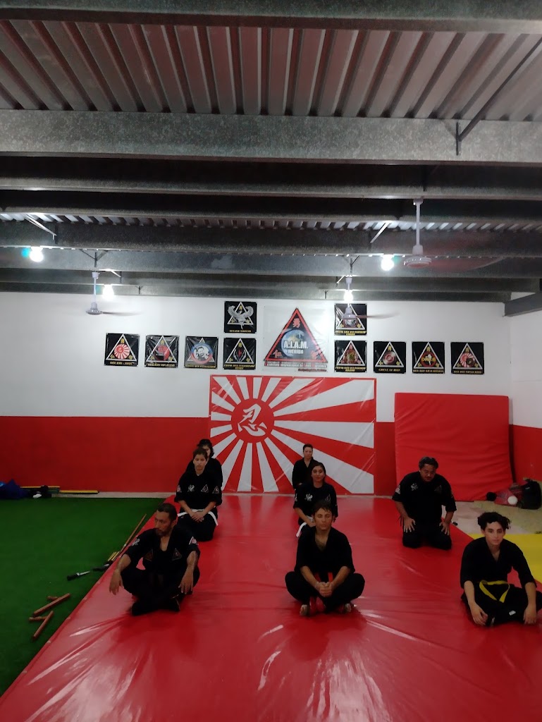 AIAM Merida, Academia Internacional de Artes Marciales — Arte marcial