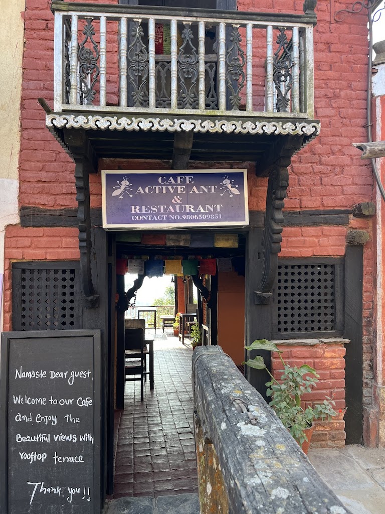 Cafe Active Ant Bandipur Best Organic Restaurant Cafe