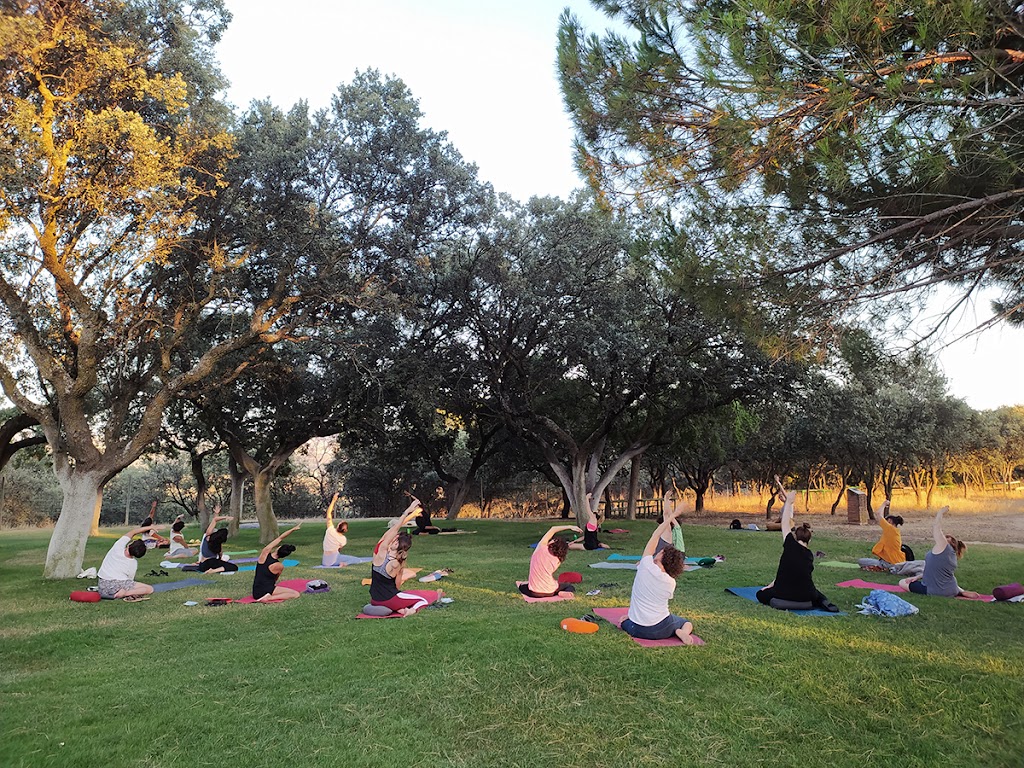 Sangha Yoga — Yoga
