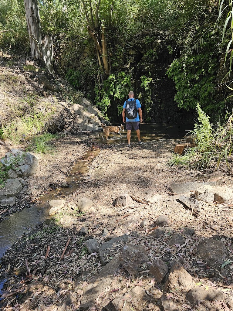 Sendero las presas