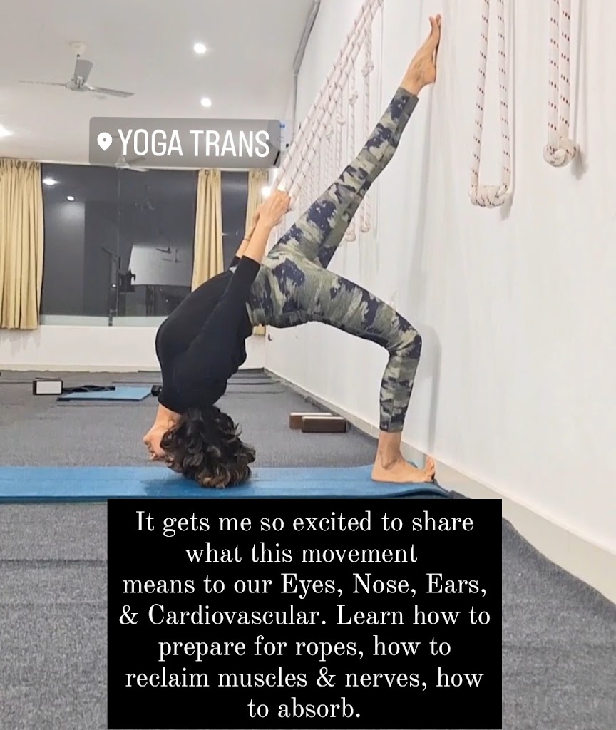 Yoga Trans by Shveta Sharma, Since 2013 (Offline & Online classes)