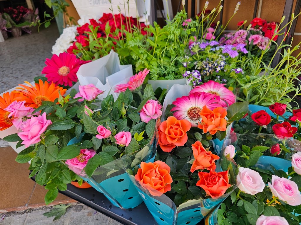 Floristeria, Regalos y Decoracion - Jardin de Flor — Jardin