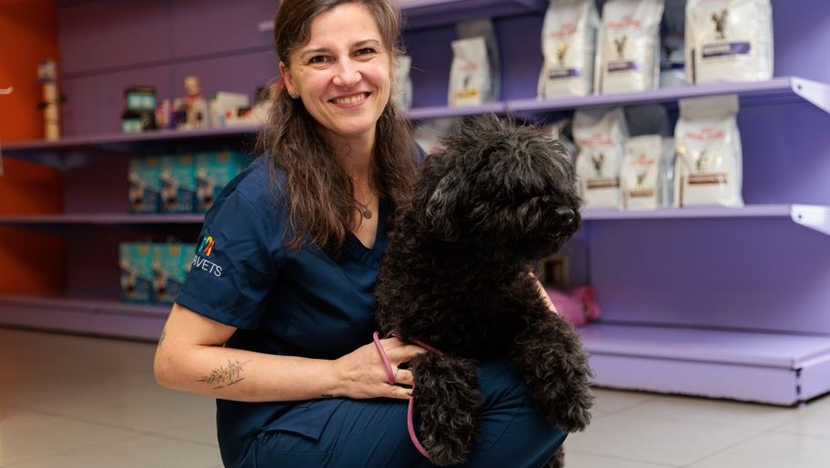 Hospital Veterinario A Media Lua