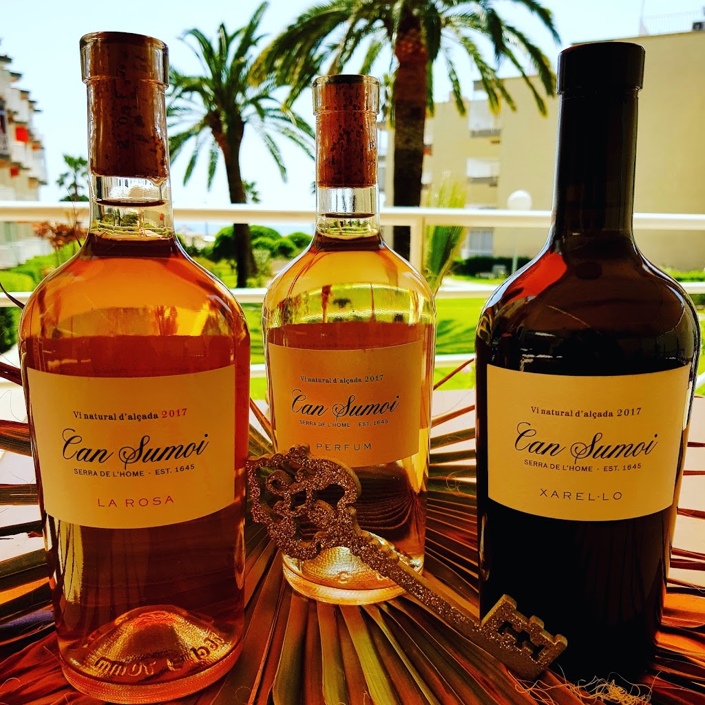 Restaurante Rincon de iruna — Vino