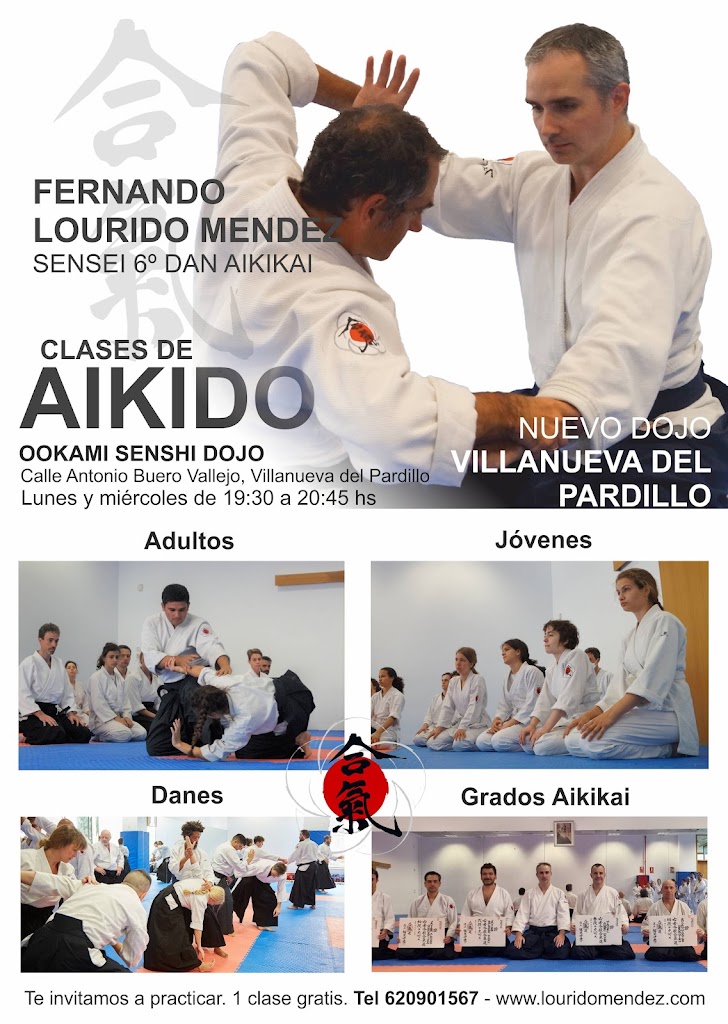 Aikido Villanueva del Pardillo — Del propietario