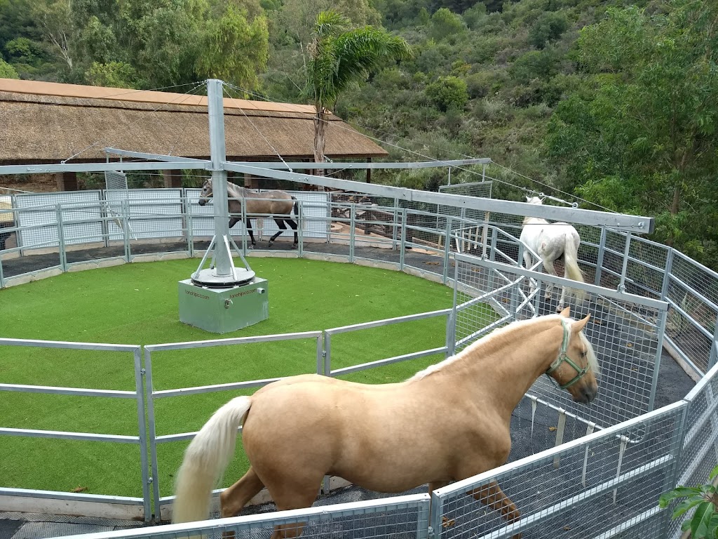 Centro Hipico El Repique - Marbella — Caballo