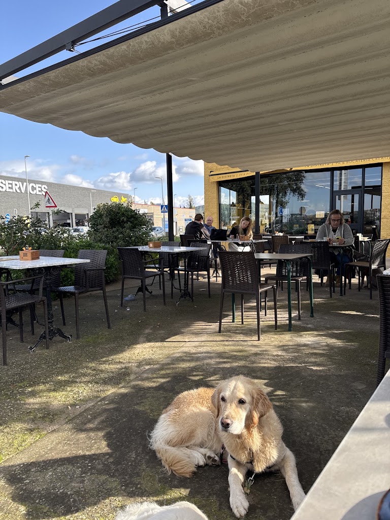 La Distreta - Pa i Bocateria Creativa — Ambiente