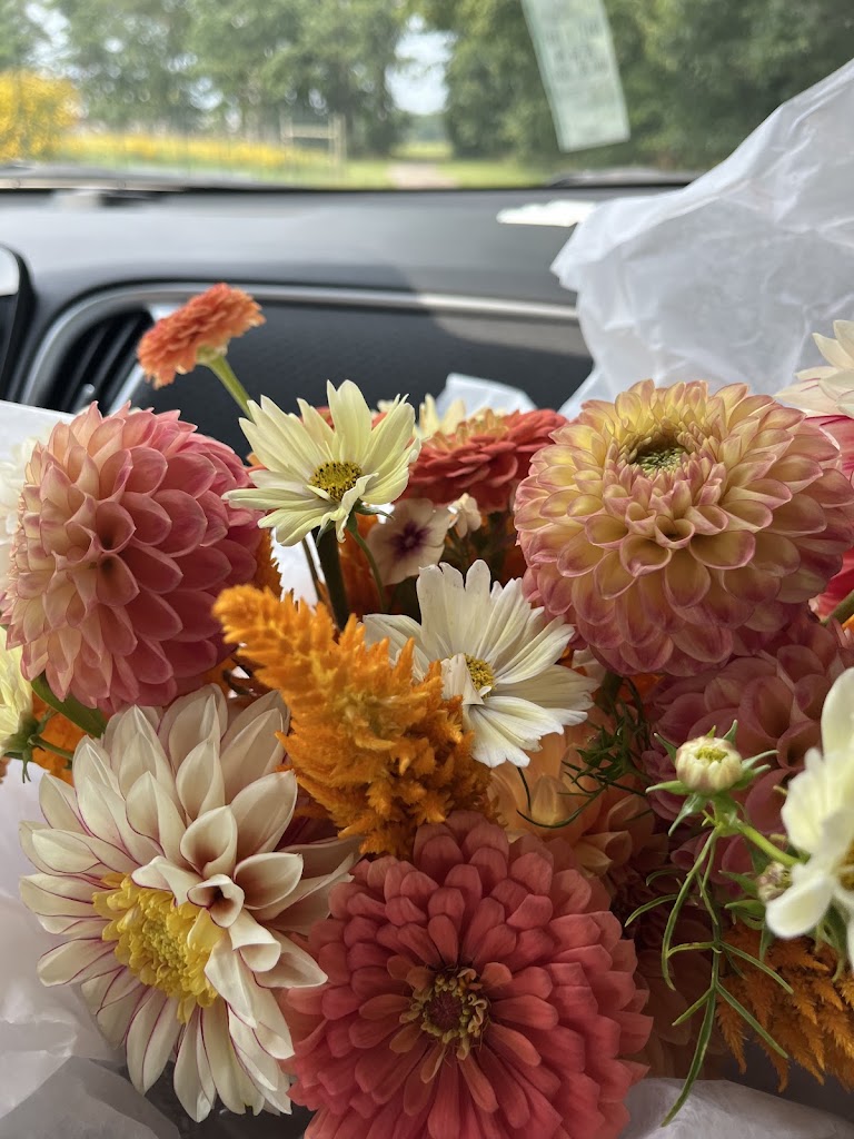 Marilla Field & Flora