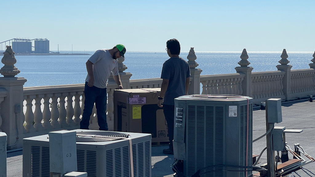 Comforts on the Coast