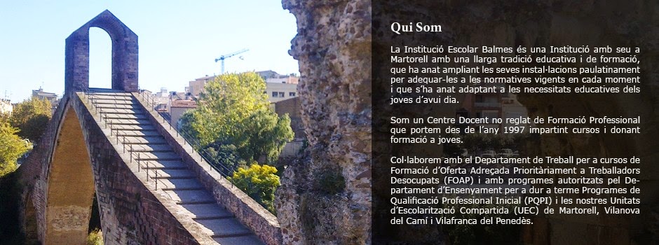 Institut Escolar Balmes SL — Del propietario