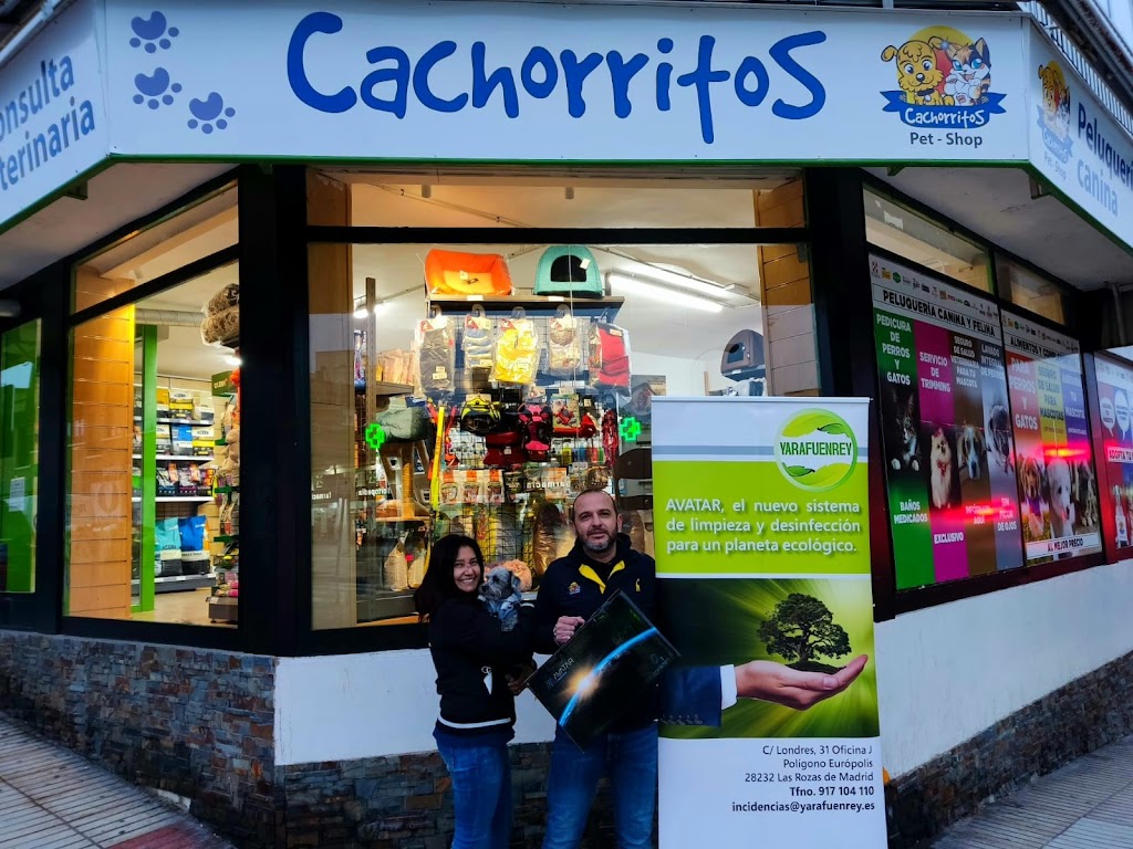 CACHORRITOS CONSULTA VETERINARIA peluqueria canina pet - shop