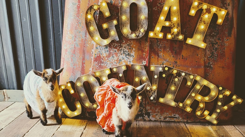  GoatCountry LLC