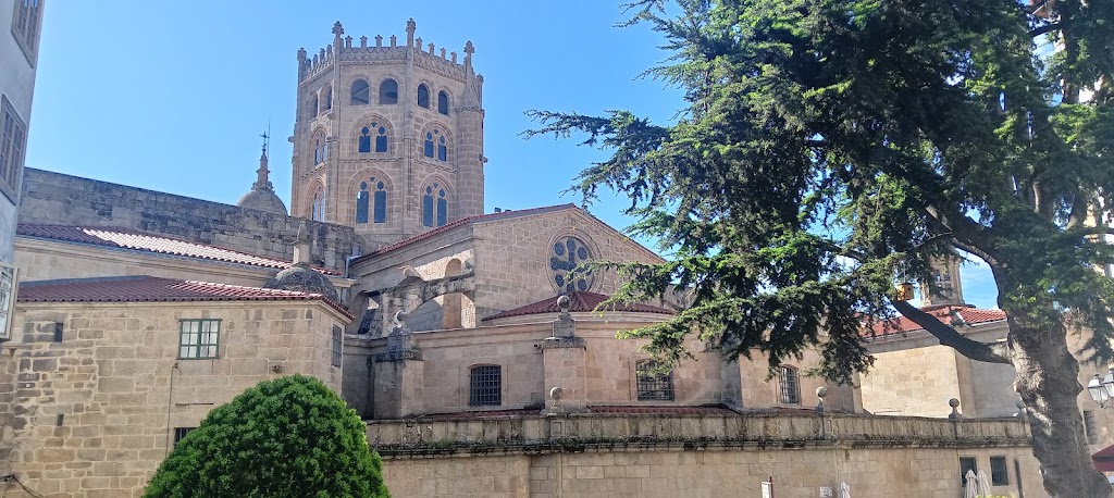 Ginkana Descubre Ourense