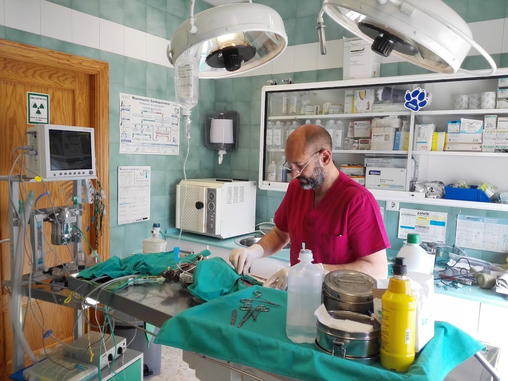 CLINICA VETERINARIA RISTORI