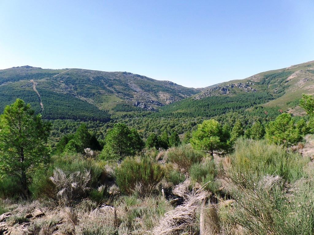 Ruta: Camino de Ilurbeda