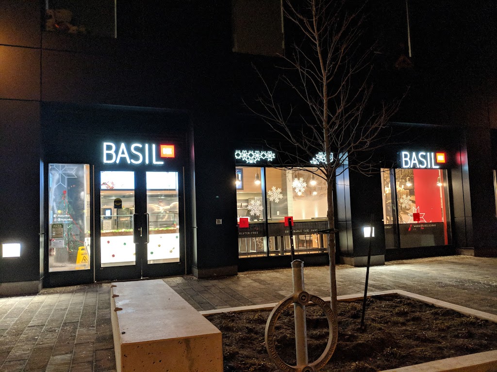 Basil Box