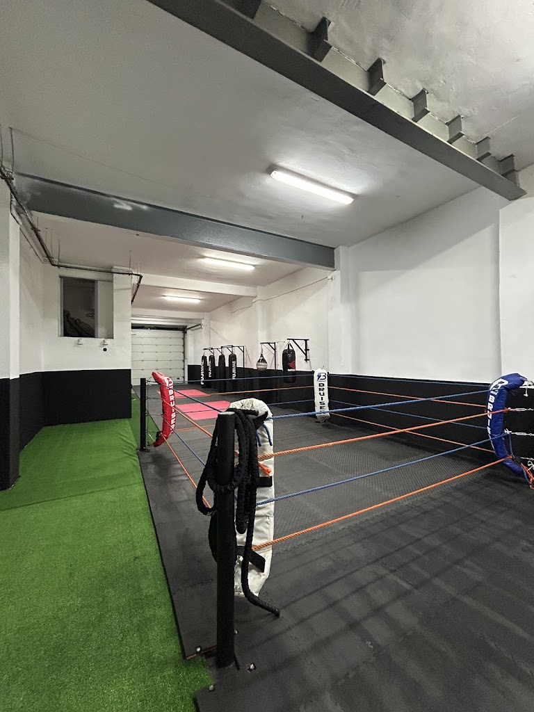Jk1boxing — Mas recientes