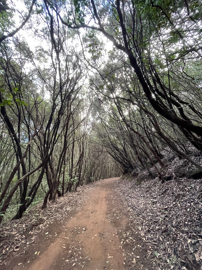 Inicio Pista La Orilla