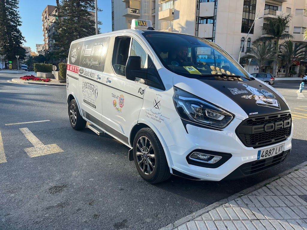 Taxi Motril Paco Gomez