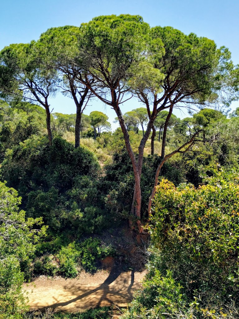 Parque de Las Canteras