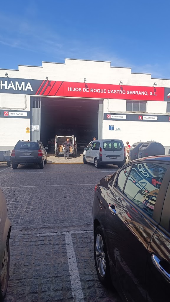 Hijos de Roque Castro Serrano