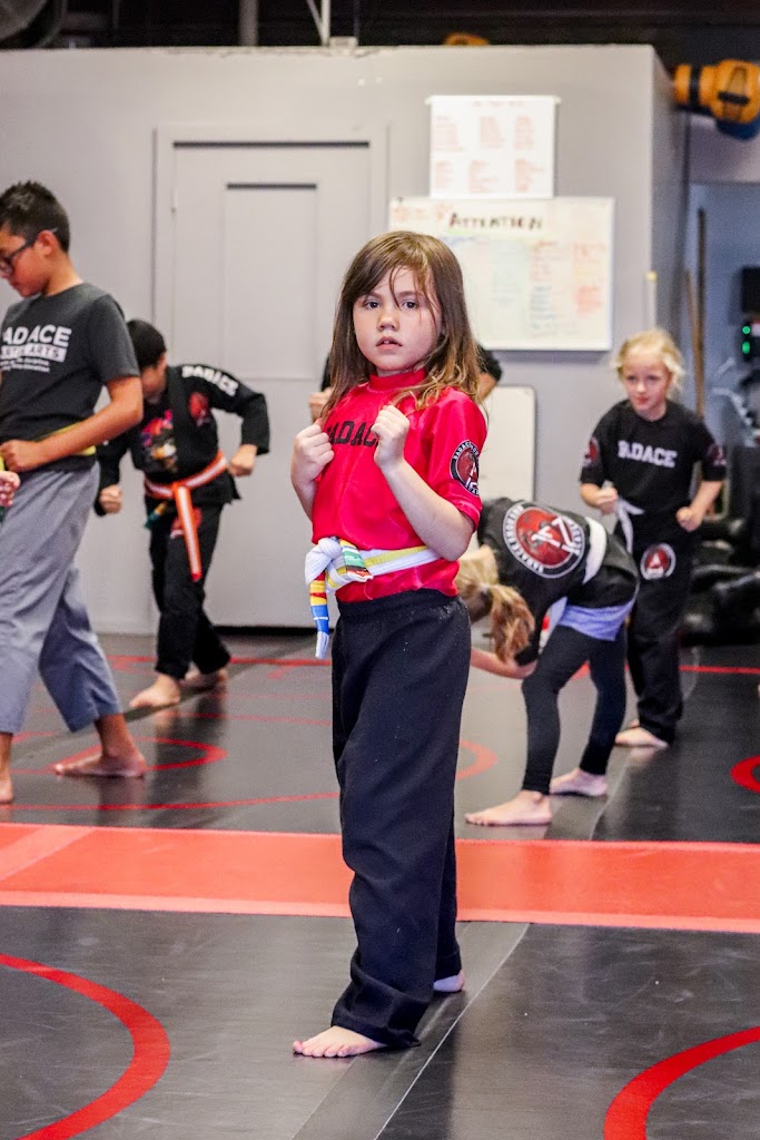  Bad Ace Martial Arts