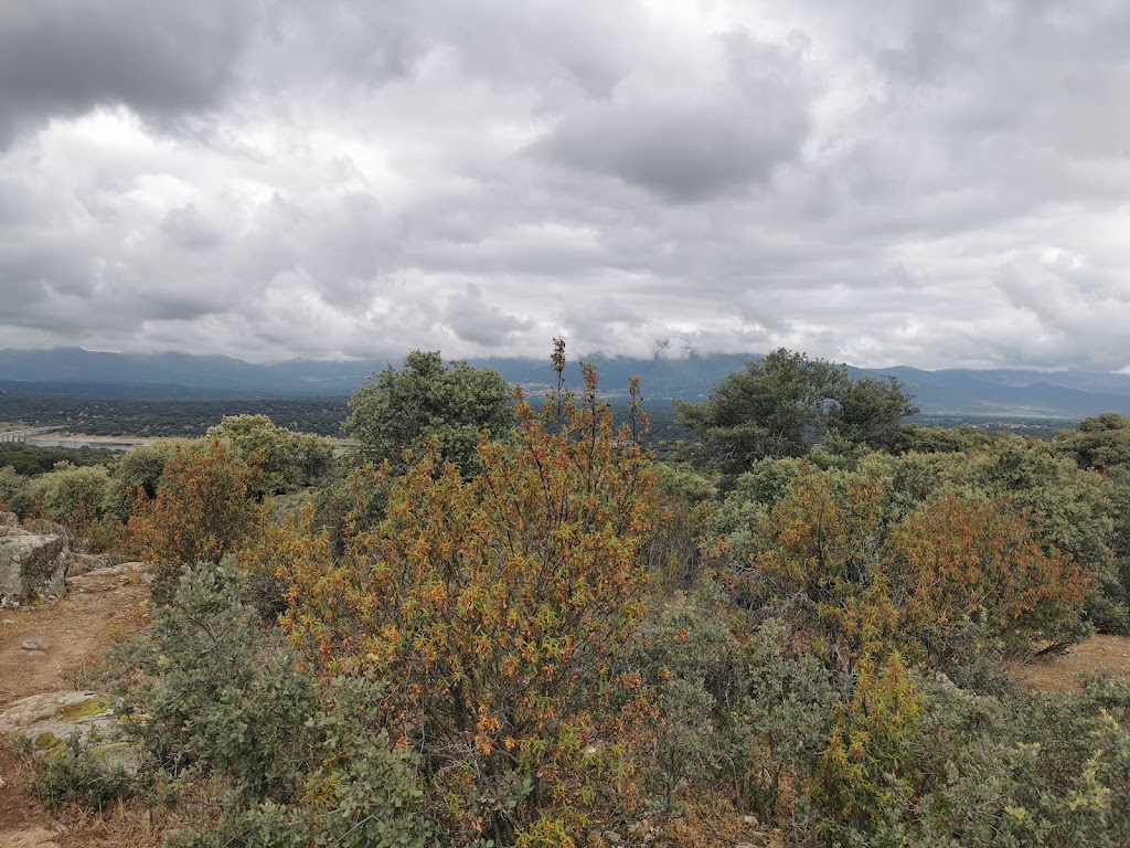 Mirador Dehesa Vieja de Galapagar