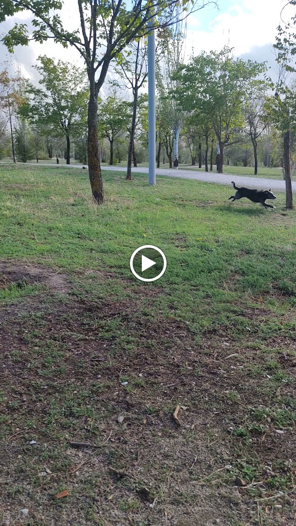 Via Pecuaria SS de los Reyes — Videos