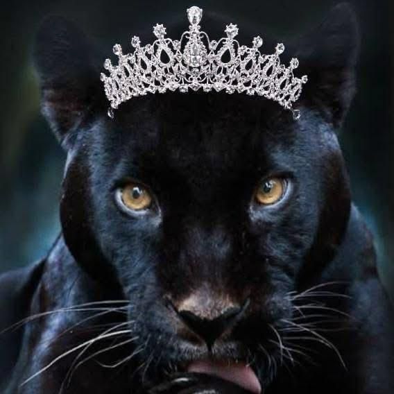C Be Beauty — Del propietario