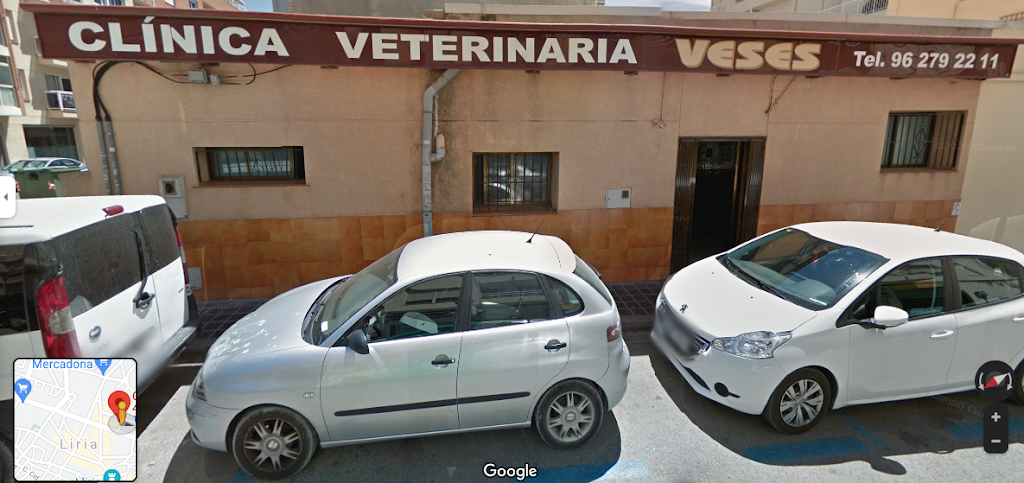 Clinica Veterinaria Veses — Del propietario