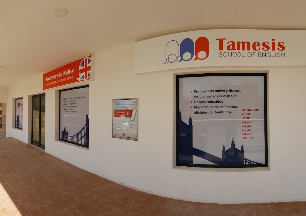 Tamesis School of English — Del propietario