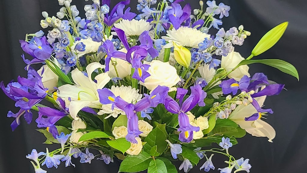 Elegant Designs in Bloom
