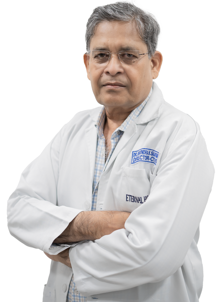 Dr. Dr Ravindra K Sharma