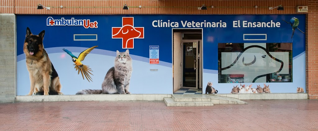 AmbulanVet Centro Veterinario El Ensanche