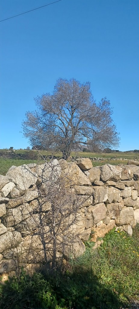 8 rutas Camino de Pedrezuela