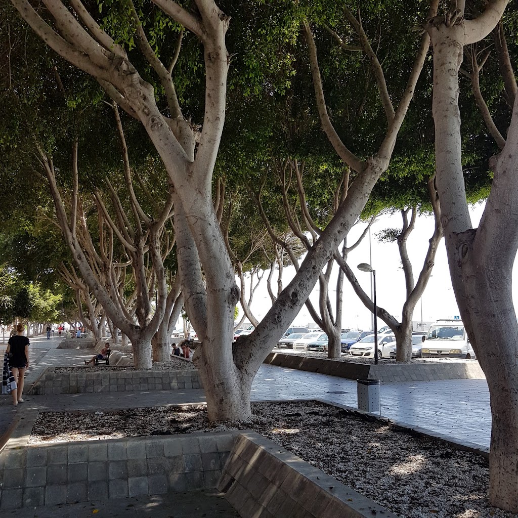 Jardines de Poniente