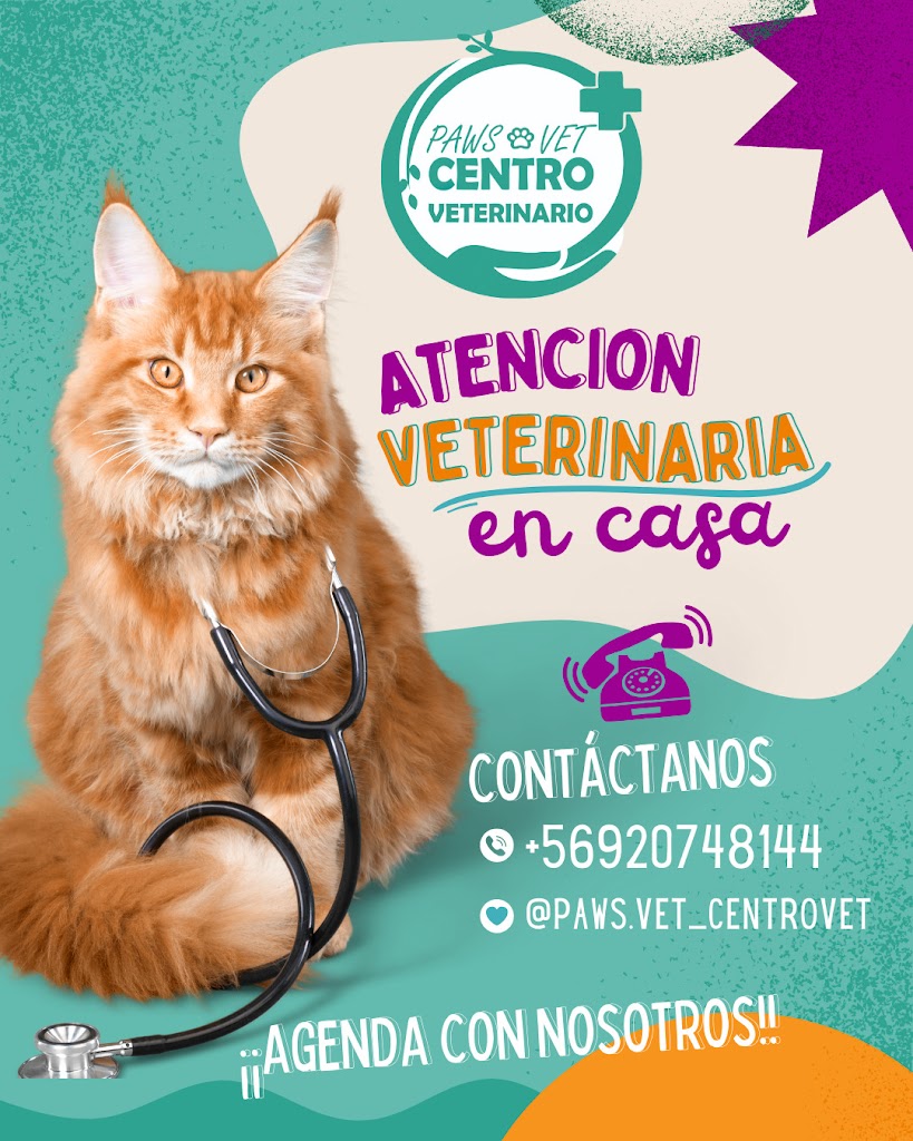 Gato