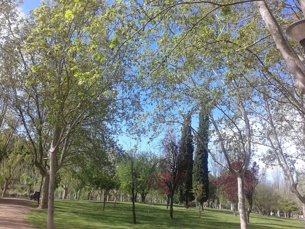 Jardines del Barrio la Llana