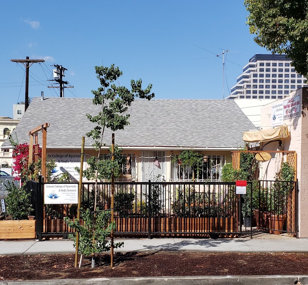  Vedic Yoga & Meditation