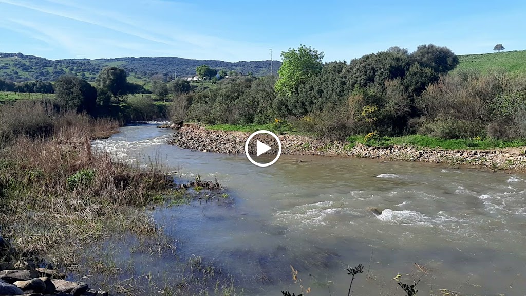 Sendero Mojon de la Vibora