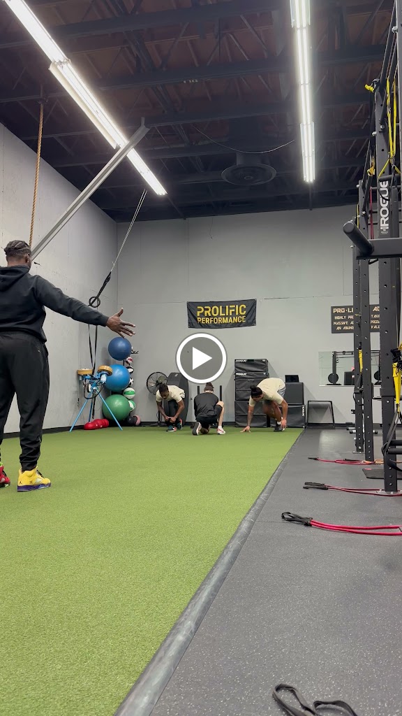  Prolific Performance