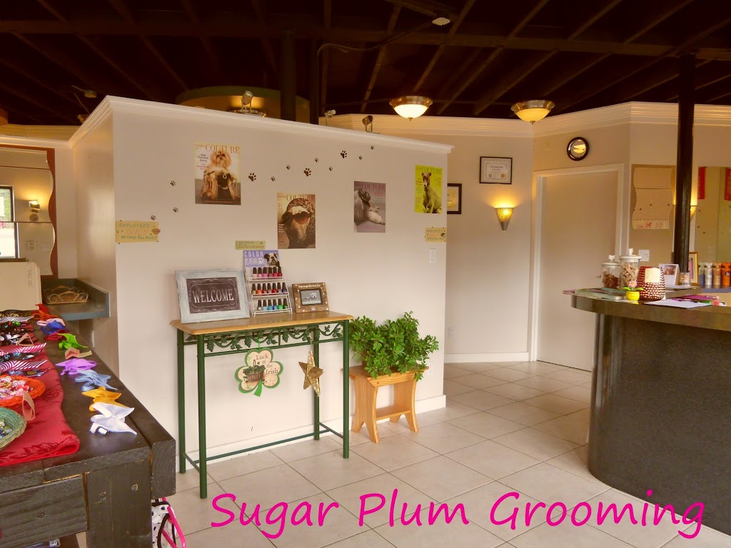 Pet groomer in North-Salt-Lake