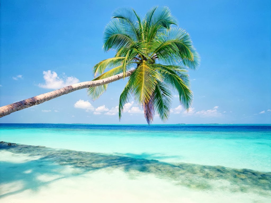Island Blue Design