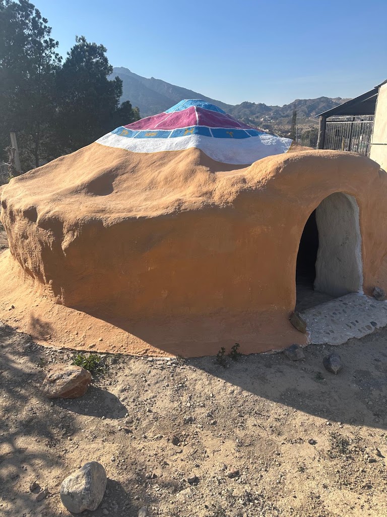 Aluna Actividades y terapias