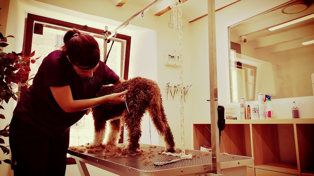 Dog & Roll Peluqueria Canina