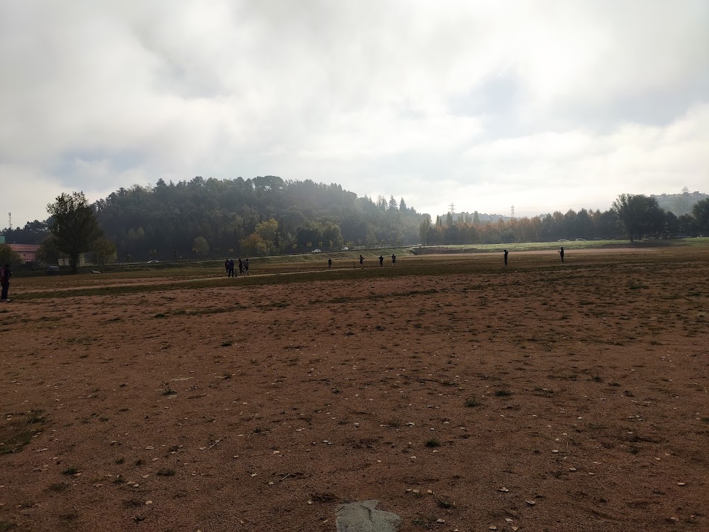 Campo de Cricket vic