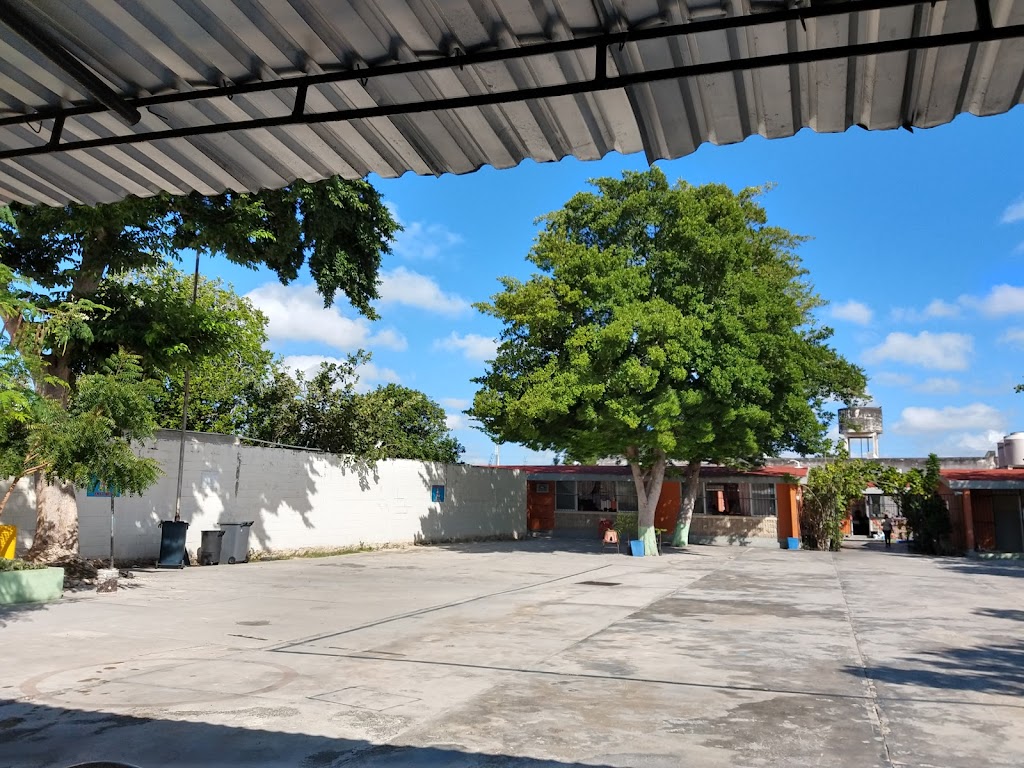 ESCUELA PRIMARIA. DELIO MORENO CANTON.