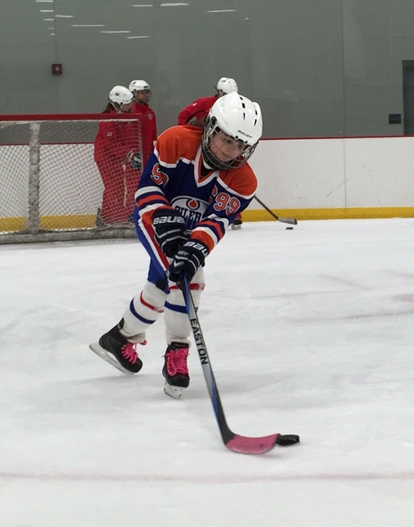  Long Island Sports Hub