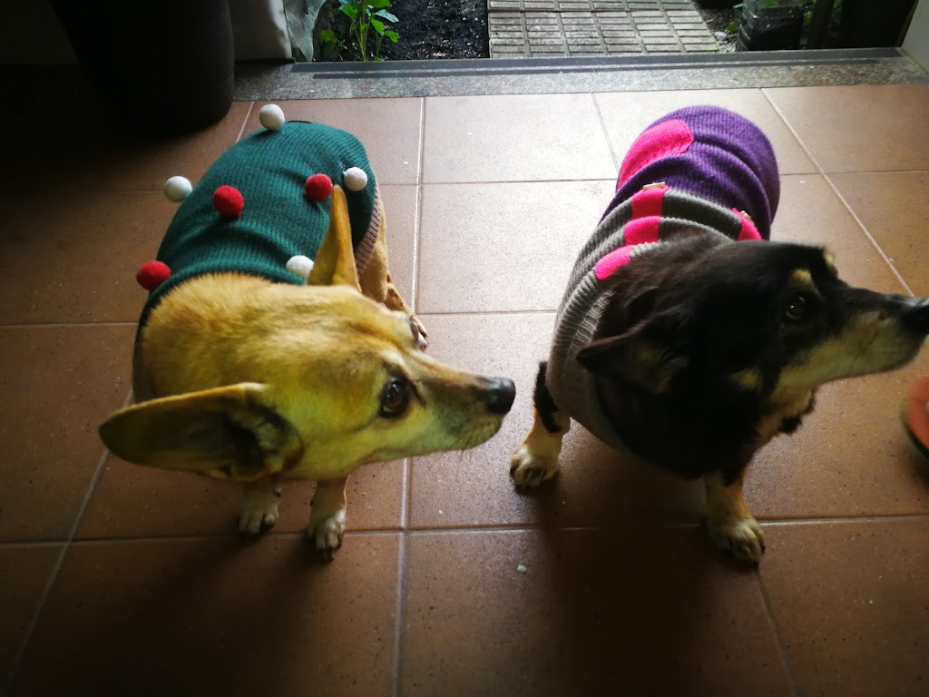 Foto da avaliação